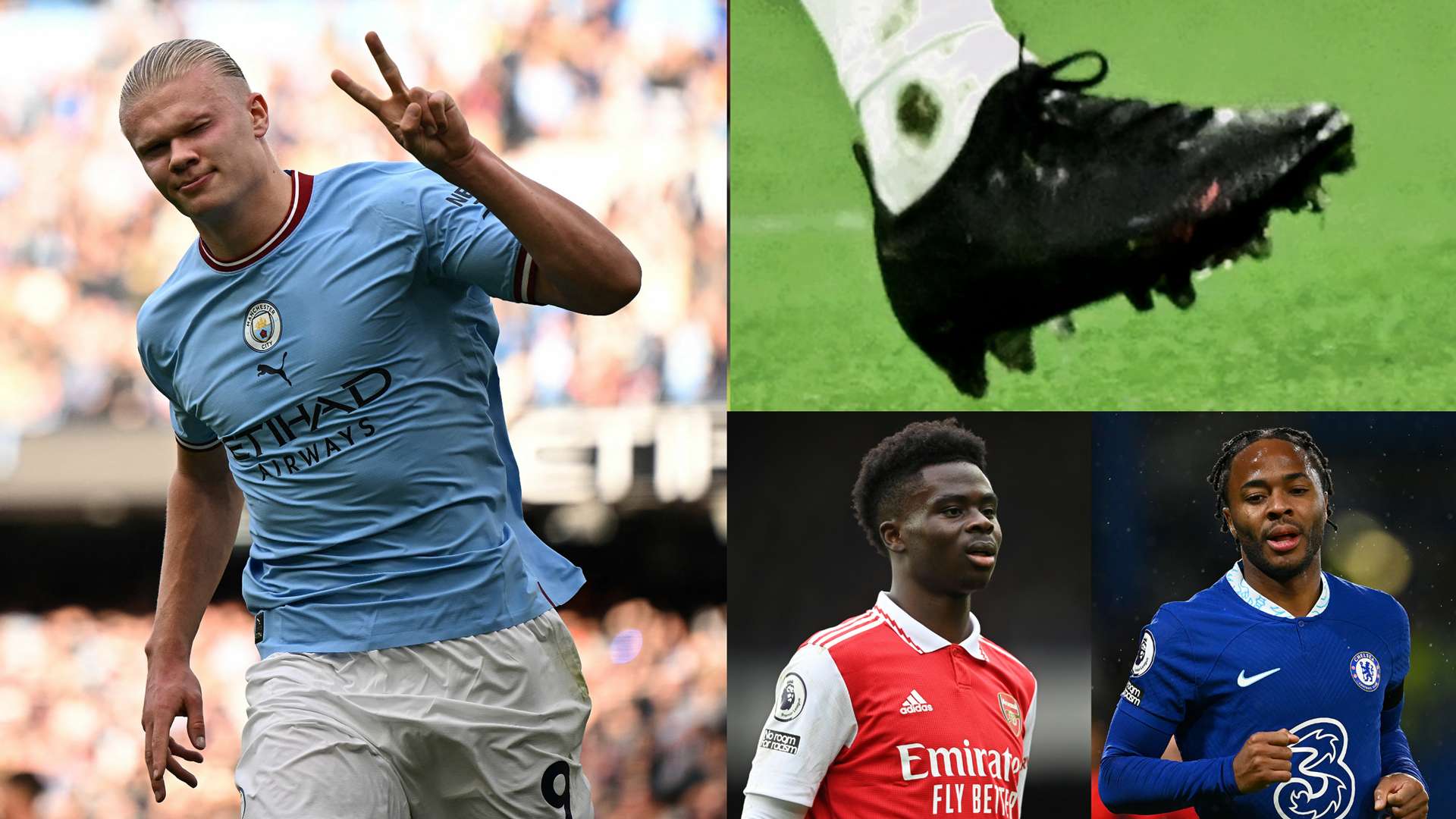 都是双板滑行 这些项目究竟有啥不一样？.